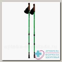 Classic Walker палки для скандинавской ходьбы (трехсекционные) N 1