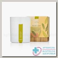 Olive Leaf Candle (ароматизированная свеча) N 1