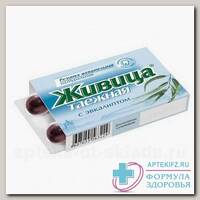Живица из смолы лиственницы сибирской смолка жев 0,8г с эвкалиптом N 5